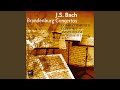 Miniature de la vidéo de la chanson Brandenburg Concerto No. 5 In D Major, Bwv 1050: Ii. Affettuoso