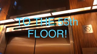 OTIS/TKE Destination Dispatch High-Rise Elevators at the TD Bank Tower (Up to the 55th floor!) (4K)