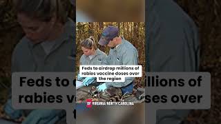Rabies fears grow nationwide; vaccine baits coming to region