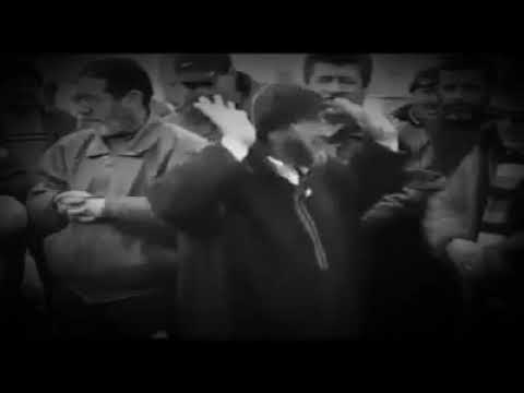 خلاصة الدنيا للذين يتفكرون