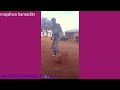 POMBE SIO CHAI EP1 