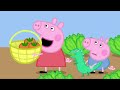 ペッパピッグ | キャンプ | 2本立てエピソード」 | Peppa Pig Japanese | 子供向けアニメ