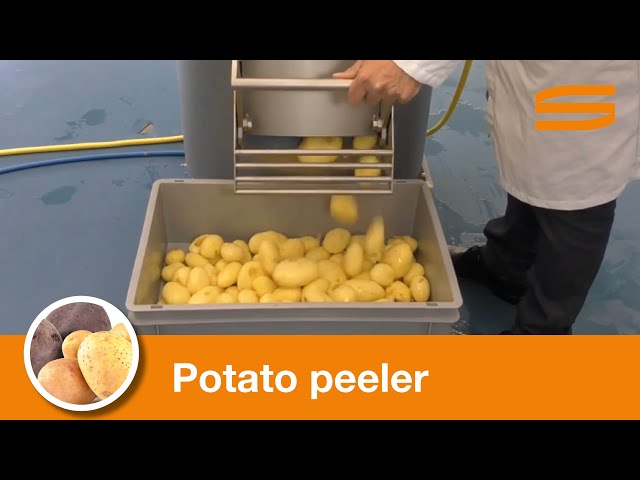 Potato Peeler Machine MSM-20  Vegetable Processing Machinery