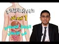 العلوم 4 إبتدائي  { 01 } تيرم ثان  -   الجهاز الهضمى فى الإنسان ج1