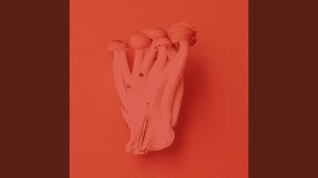 Opulent Backdrops for After Hours Work