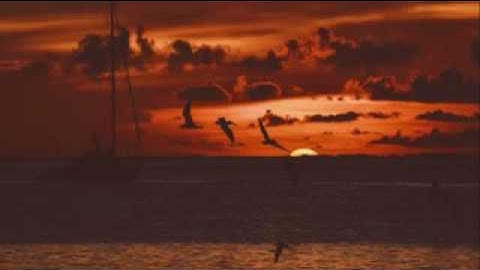 شهر رمضان الذي انزل فيه القرآن تلاوة جميلة