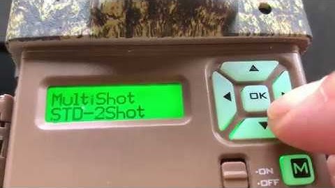 Browning BTC-4P Command Ops Pro Trail Camera Time Lapse (05-2019)