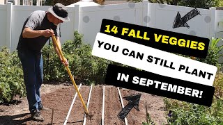 14 Fall Veggies You Can Still Plant in September - Zones 5-7