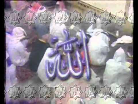 الشيخ حاتم فريد الواعر دعاء ذلكم الله 