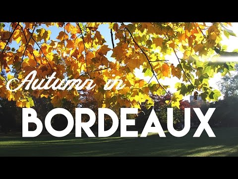 BORDEAUX, France || Colors of October