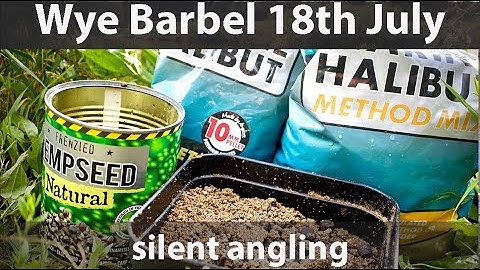 Barbel fishing River Wye UK Summer - pellets feeder rigs tips technique tactics - silent angling