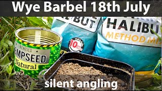 Barbel fishing River Wye UK Summer - pellets feeder rigs tips technique tactics - silent angling