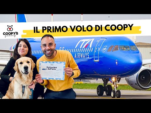 Video: Volare con un cane dal Regno Unito alla Giordania