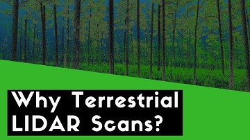 Southern Fire Science - Why Terrestrial LIDAR?