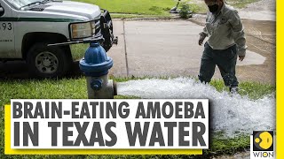 US: Texas on alert over brain-eating amoeba | World News screenshot 5