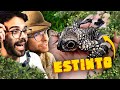 DINOSAURI e altri animali ESTINTI | Lo Zoo di Dario e Willy (ft. ZooSparkle)