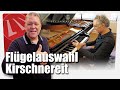 Brilliante Auswahl zweier Steinway Flügel durch Prof. Matthias Kirschnereit