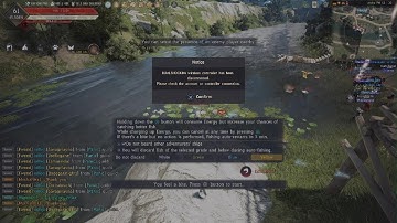 Black Desert Console Settings Video; double check your settings on a reset