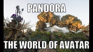 PANDORA - the World of Avatar
Explore PANDORA - the World of Avatar with us in all of its beauty and mystical effects! You can see how the land transforms from day to night - it is unreal! (Watch in HD if possible for best visuals)
*SPOILERS* Navi River Journey from 1:45 through 3:45 in the video
Music by James Harner / Avatar - Music From the Motion Picture
Remember to follow CoasterChitChat on all the social media!
Website: http://coasterchitchat.com/
Facebook: https://www.facebook.com/CoasterChitChat
Twitter: https://twitter.com/CoasterChitChat
Instagram: https://instagram.com/coasterchitchat/ PANDORA - the World of Avatar