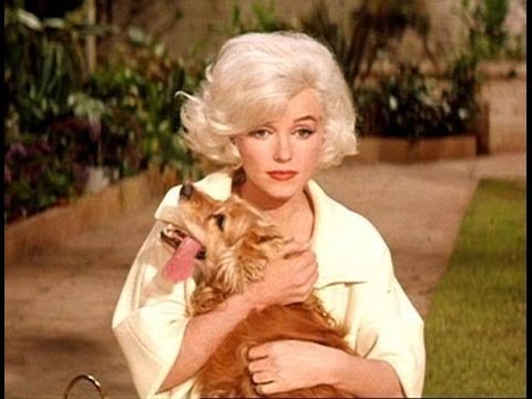 Video: Hur Marilyn Monroe Dog