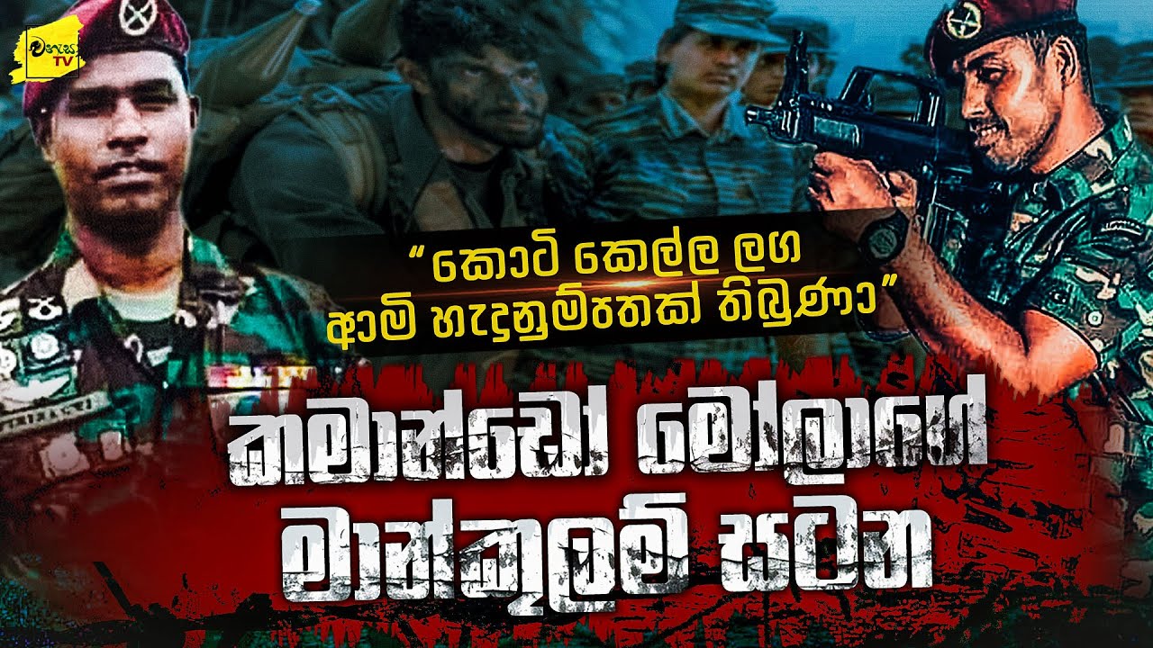 කොටි බැටෑලියට දොඹෙන් නෙලූ කමාන්ඩෝ ‌මෝලාගේ බිහිසුණු මතකය | WANESA TV