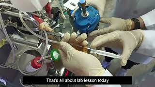 Fed Batch Fermentation of Saccharomyces cerevisiae Based on An Oxygen Spike Lab Scale 2L Bioreactor