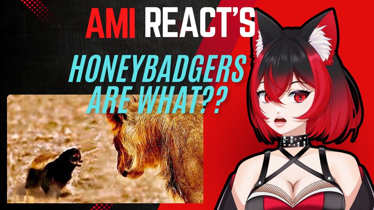 Ami Reacts: Honeybadgers Don't Fear God or Lions (A Casual Geographic React)