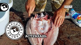 Балык из жереха | Полевая кухня