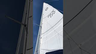 Winga 78 | Sailing boat for sale | Denmark | Scanboat