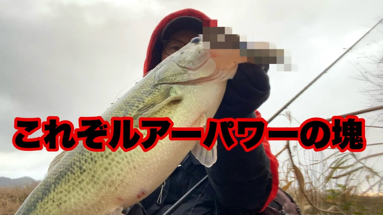 ライトリグや高比重で反応なかったのにコレ投げたら即デカバスが釣れてしまいました