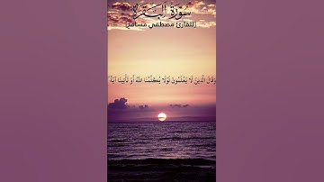 #وقالوا اتخذ الله ولدا سبحانه #سورة #البقرة #الشيخ #مصطفى #مسامح #راحة_نفسية #المصحف #قرآن