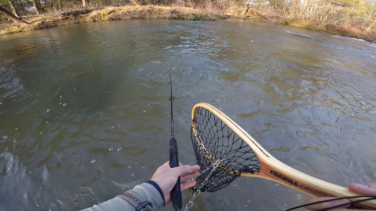 2019 blue river trout derby YouTube