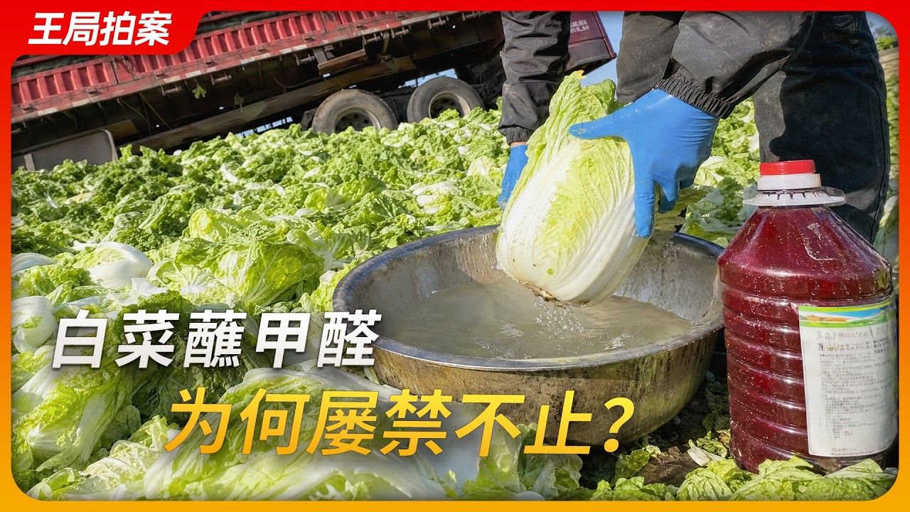 甲醛蘸白菜,为何屡禁不止?|杨梅泡药|敌敌畏|食品安全|王局拍案20260825 縮圖
