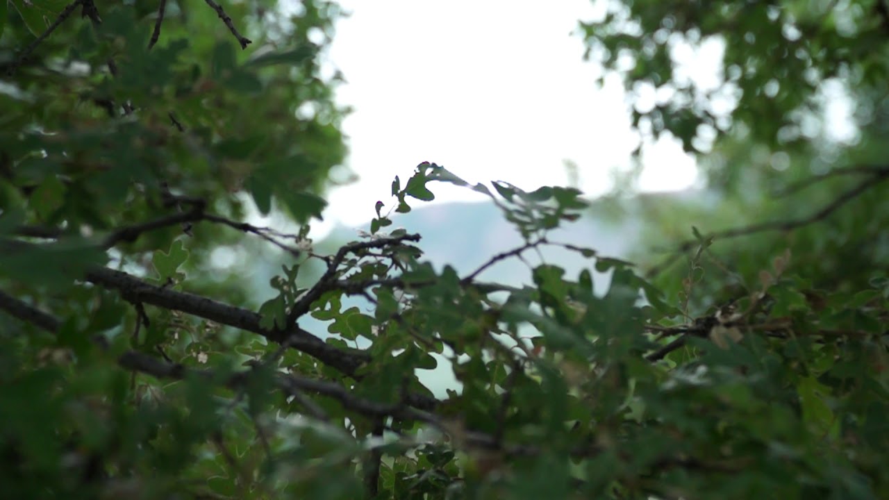 SLOW MOTION - Storm Blows In