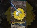 இறால் வறுவல்,ஊடான் வறுவல்