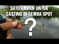 1 Umpan Casting Untuk Semua Spot Mancing