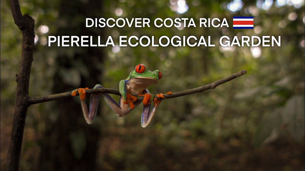 Pierella Ecological Garden 2025 (Discover nature in Costa Rica)