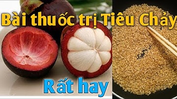 Bài thuốc trị Tiêu Chảy rất hay. PHAN HẢI channel