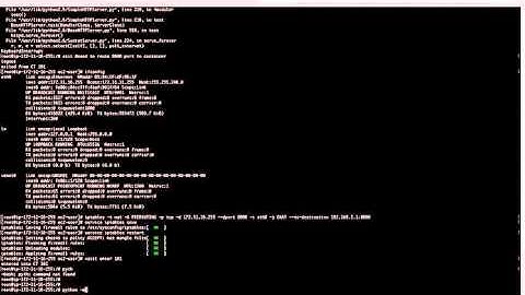 Creating server on OpenVZ container and accessing it over Internet
