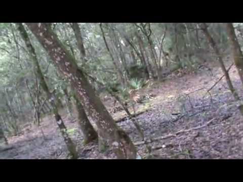 biscardi aldo Winter Hits Florida