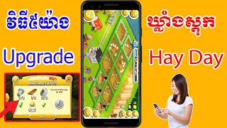 How to find seed for Hay Day 2022 sokeatube