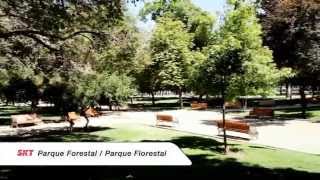 CITY TOUR + CONCHA Y TORO - SKTCHILE