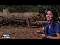 Cold War era bomb shelter found in Florida