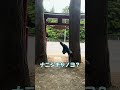 まるで外国語のような親子の会話🍎ききとれますか?#津軽弁ガール #津軽弁 #方言 #青森県