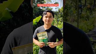 CALSINUT mengandung CaO terbukti mampu meningkatkan PH Tanah secara cepat! #calsinut #benihonline