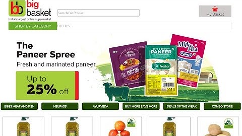 BigBasket Clone Using HTML & CSS | How To Make Website Using HTML & CSS In Hindi @bigbasketofficial