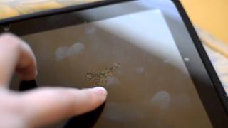 Xoom Oil Smudge Screen Distortion