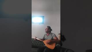 Ferdi Şarkıları