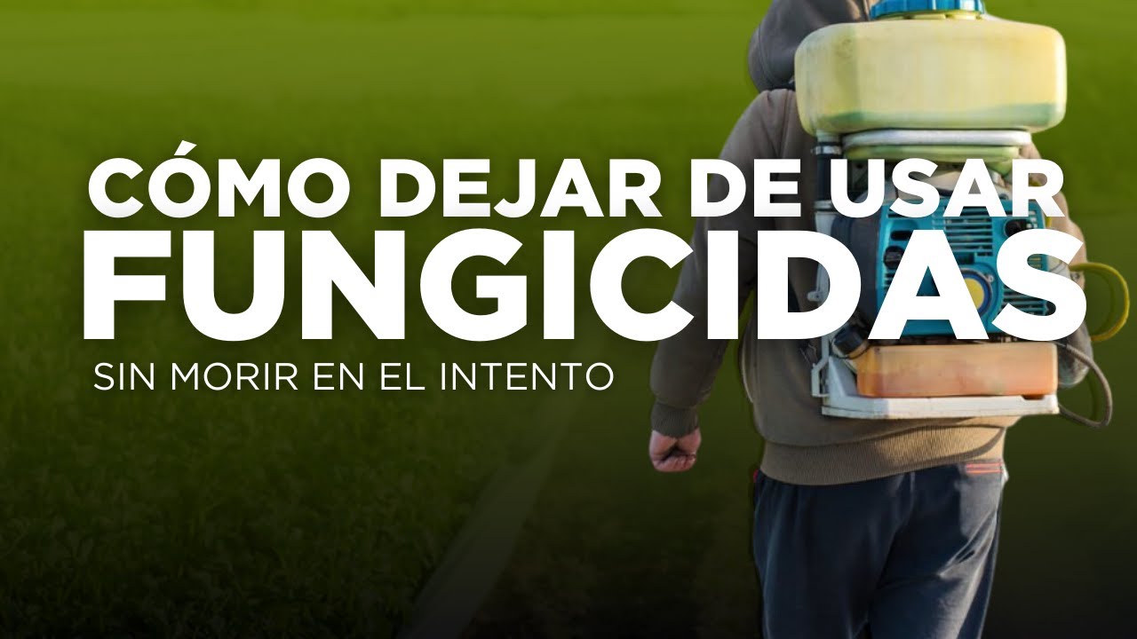 Cómo dejar de usar fungicidas sin morir en el intento