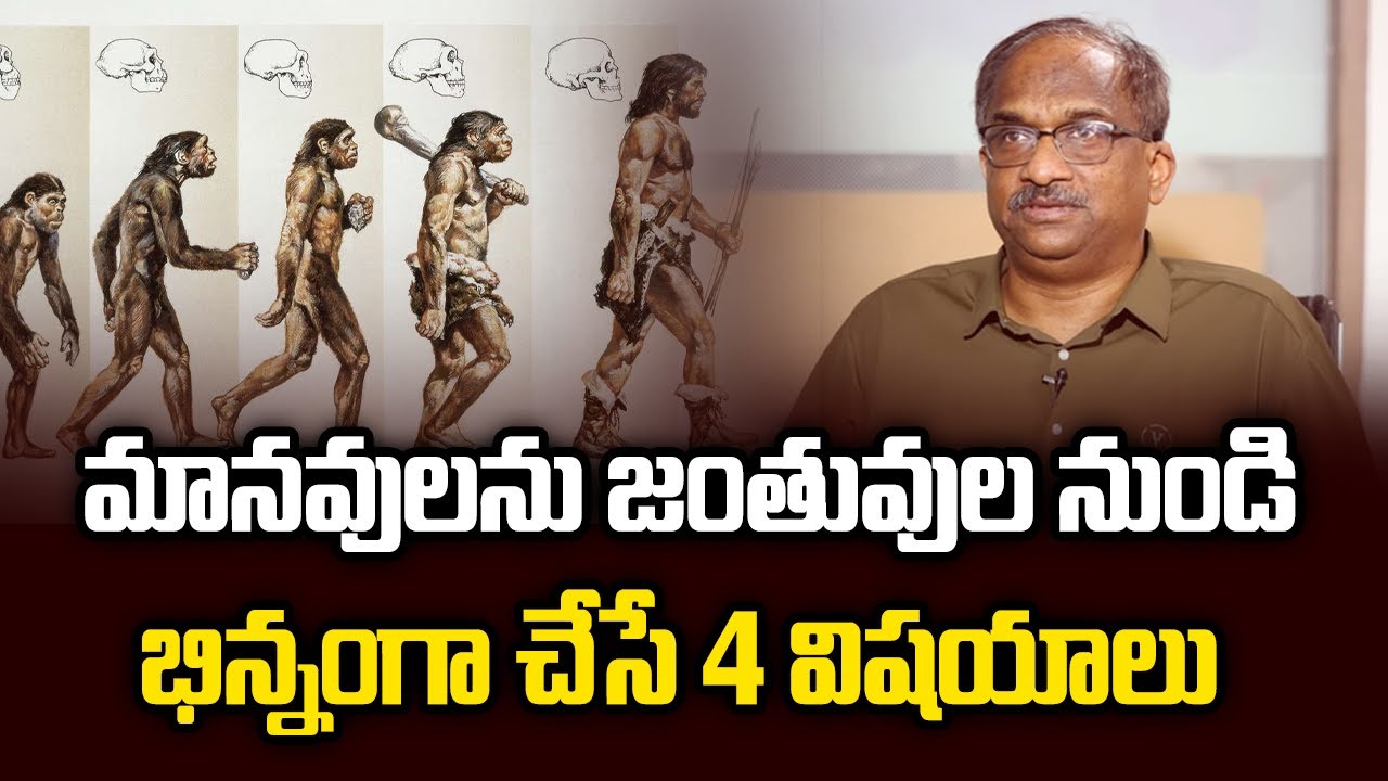 మానవులను జంతువుల నుండి భిన్నంగా చేసే 4 విషయాలు || 4 Things That Make Humans Distinct From Animals ||